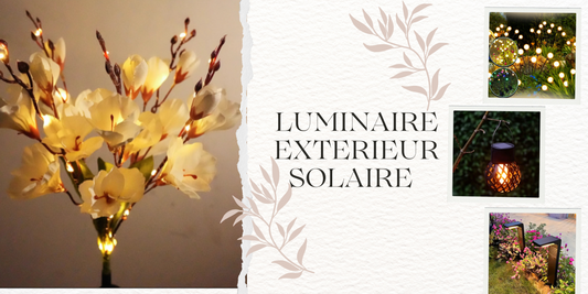 Luminaire extérieur solaire