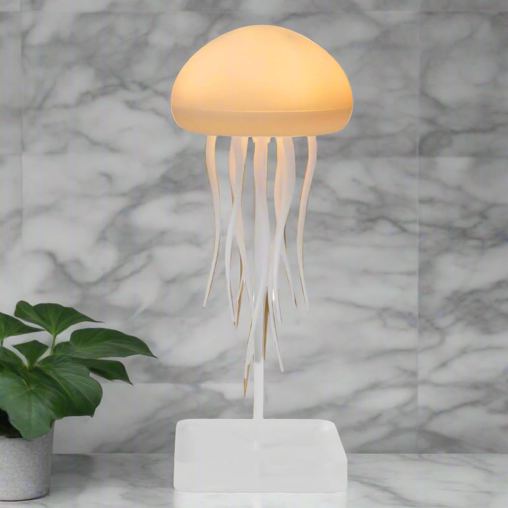 Lampe de chevet design et une plante
