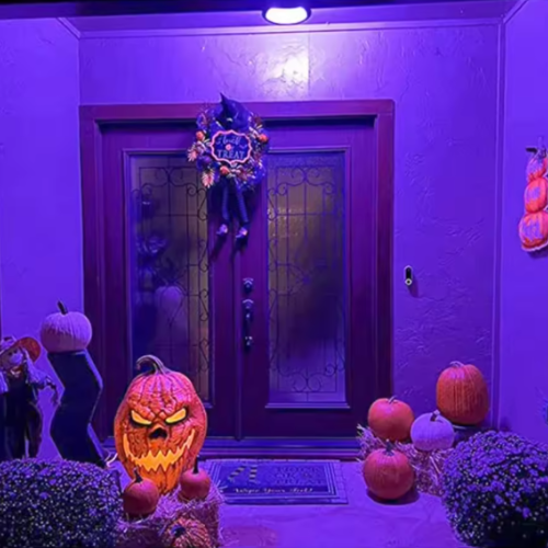 Ampoule LED violette et décoration d'Halloween 