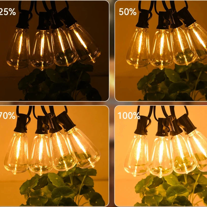 guirlande exterieur lumineuse plusieurs intensités d'éclairage 
