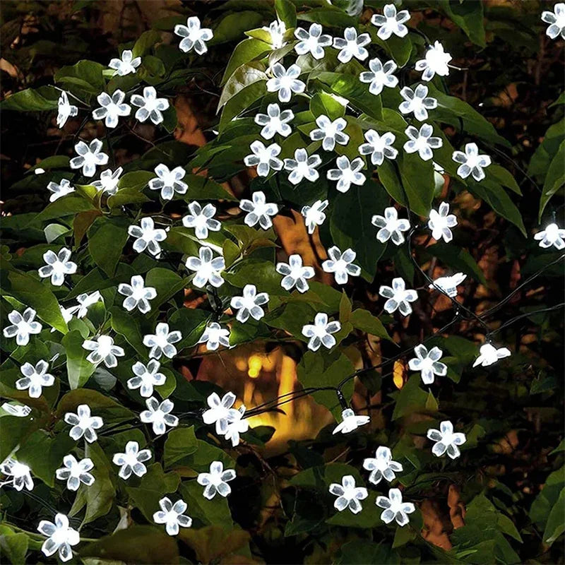 Guirlande lumineuse extérieur LED fleurs de cerisier dans un jardin 