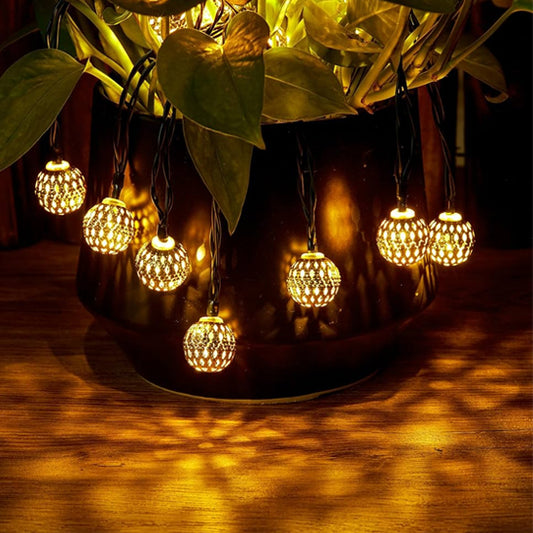 Guirlande lumineuse marocaine et plante dans un jardin 