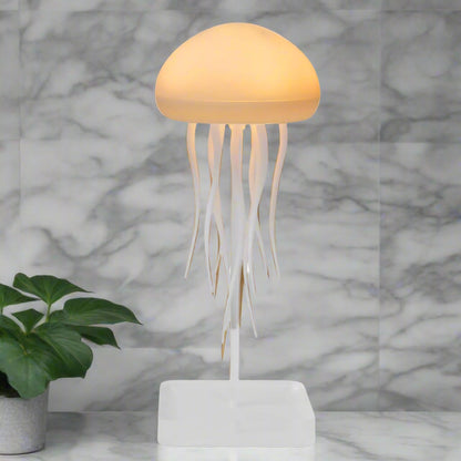  Lampe de chevet design et une plante 