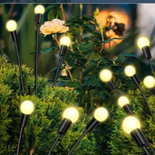 Lampe solaire extérieur effet luciole et un rosier 