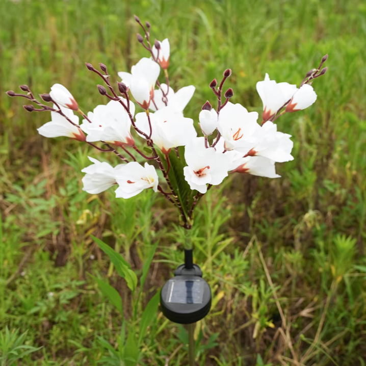 Lampe solaire extérieur fleur de Magnolia en plein jour avec capteur solaire   