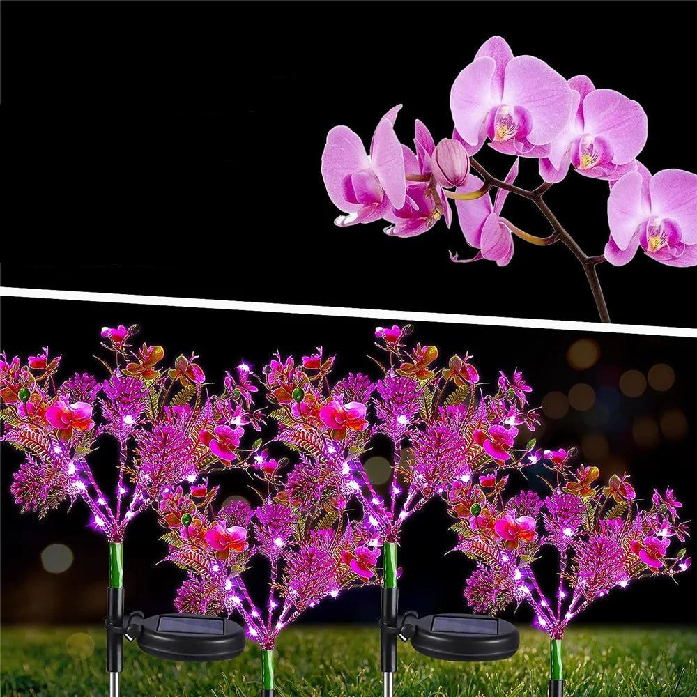 Lampe solaire extérieur orchidée allumé 