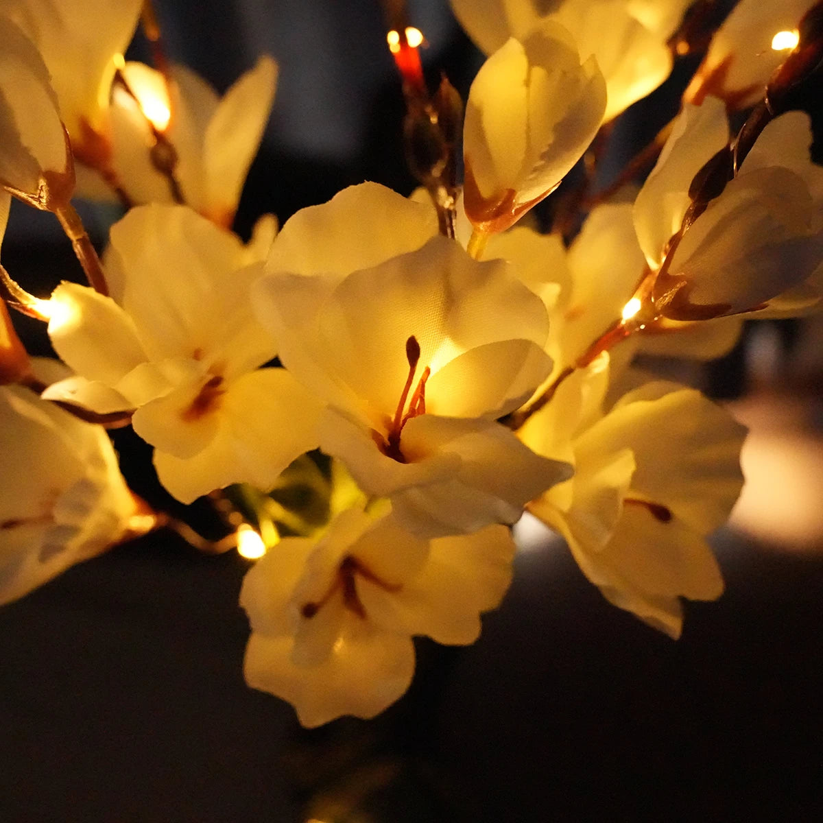 Lampe solaire exterieur fleur allumée le soir 