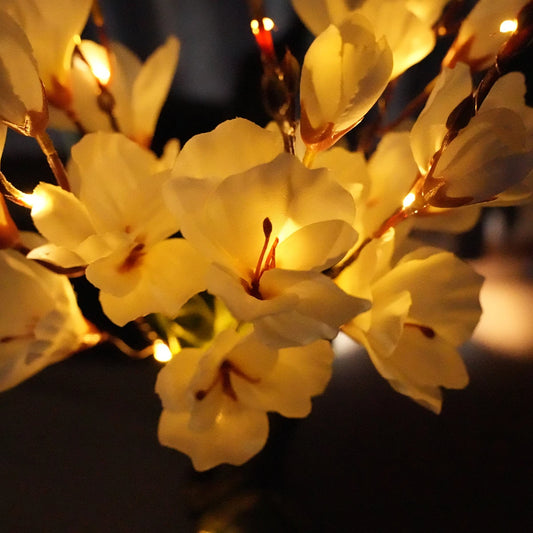 Lampe solaire exterieur fleur allumée le soir 