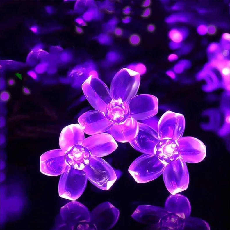 Trois petites Guirlande lumineuse extérieur LED fleurs de cerisier violette 