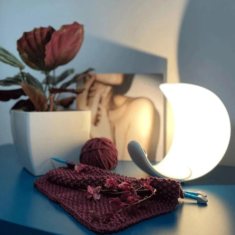 Lampe de chevet nordique lune et un pot de fleur rouge 